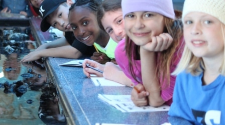 Courtyard School students on field trip